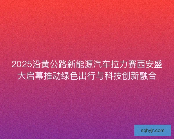 2025沿黄公路新能源汽车拉力赛西安盛大启幕推动绿色出行与科技创新融合